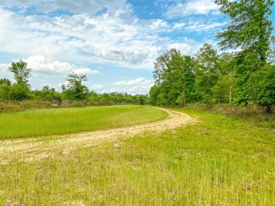 Land for Sale on the Big Black River Claiborne County MS - image 30