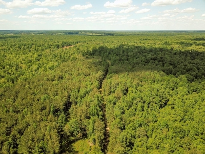 Land for Sale on the Big Black River Claiborne County MS - image 25