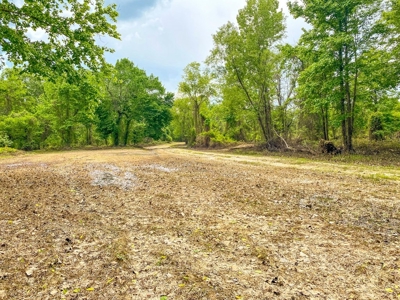Land for Sale on the Big Black River Claiborne County MS - image 31