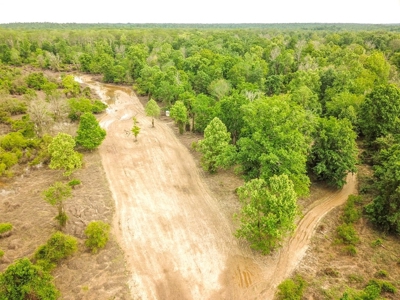 Land for Sale on the Big Black River Claiborne County MS - image 16