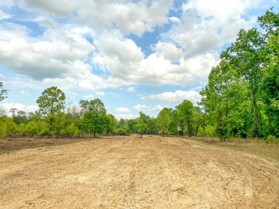 Land for Sale on the Big Black River Claiborne County MS - image 34