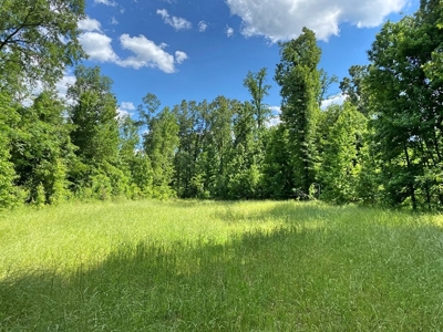 Land for Sale on the Big Black River Claiborne County MS - image 43
