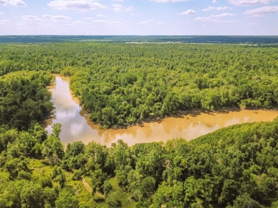 Land for Sale on the Big Black River Claiborne County MS - image 27