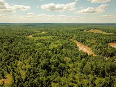 Land for Sale on the Big Black River Claiborne County MS - image 24