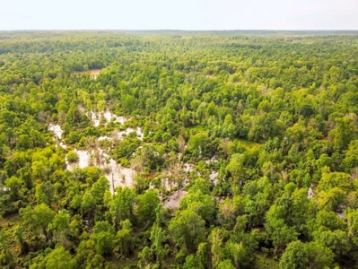 Land for Sale on the Big Black River Claiborne County MS - image 1
