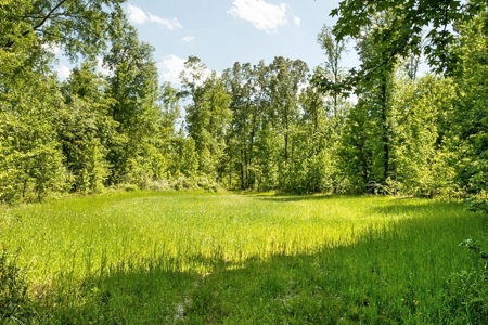 Land for Sale on the Big Black River Claiborne County MS - image 13