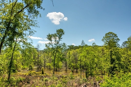 Land for Sale on the Big Black River Claiborne County MS - image 11