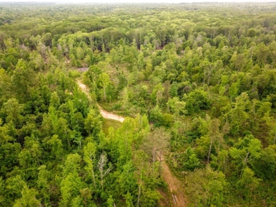 Land for Sale on the Big Black River Claiborne County MS - image 23