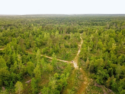 Land for Sale on the Big Black River Claiborne County MS - image 22