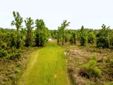 Land for Sale on the Big Black River Claiborne County MS - image 19