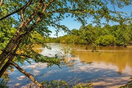 Land for Sale on the Big Black River Claiborne County MS - image 6