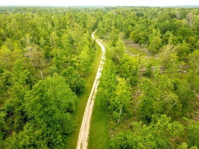 Land for Sale on the Big Black River Claiborne County MS - image 21