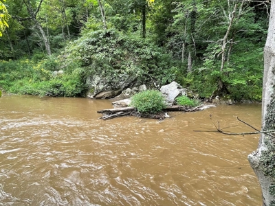 Recreational Property for Sale in Carroll County VA! - image 21