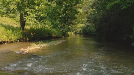 Recreational Property for Sale in Carroll County VA! - image 10