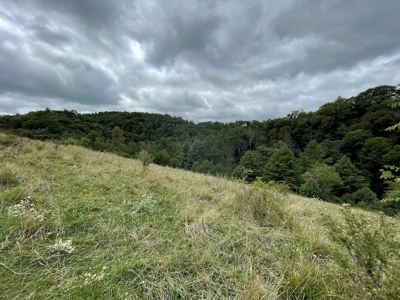 Recreational Property for Sale in Carroll County VA! - image 22