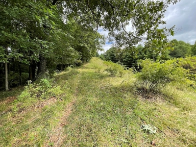 Recreational Property for Sale in Carroll County VA! - image 28