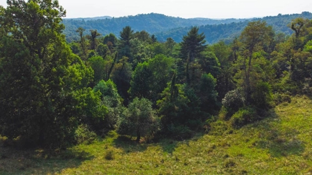 Recreational Property for Sale in Carroll County VA! - image 15