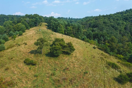 Recreational Property for Sale in Carroll County VA! - image 1