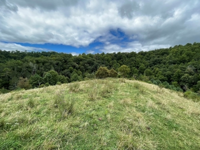 Recreational Property for Sale in Carroll County VA! - image 24