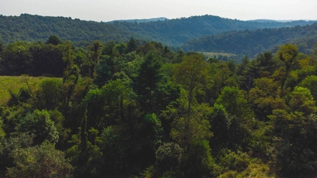Recreational Property for Sale in Carroll County VA! - image 17