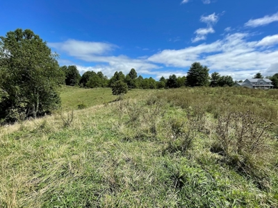 Recreational Property for Sale in Carroll County VA! - image 19