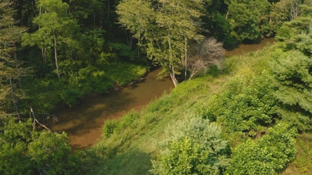 Recreational Property for Sale in Carroll County VA! - image 11