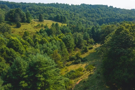 Recreational Property for Sale in Carroll County VA! - image 4