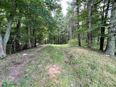 Recreational Property for Sale in Carroll County VA! - image 27