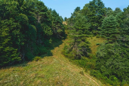 Recreational Property for Sale in Carroll County VA! - image 12