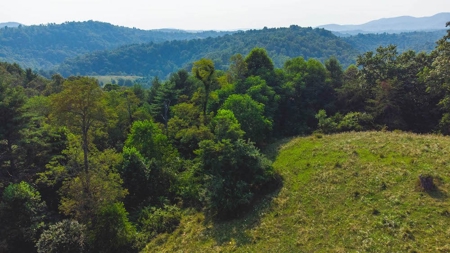 Recreational Property for Sale in Carroll County VA! - image 16