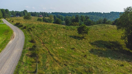 Recreational Property for Sale in Carroll County VA! - image 14