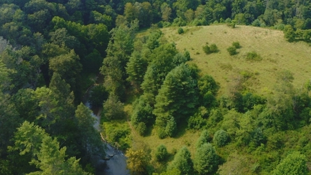 Recreational Property for Sale in Carroll County VA! - image 7