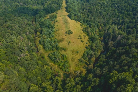 Recreational Property for Sale in Carroll County VA! - image 2