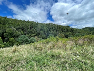 Recreational Property for Sale in Carroll County VA! - image 23