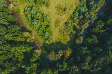 Recreational Property for Sale in Carroll County VA! - image 3