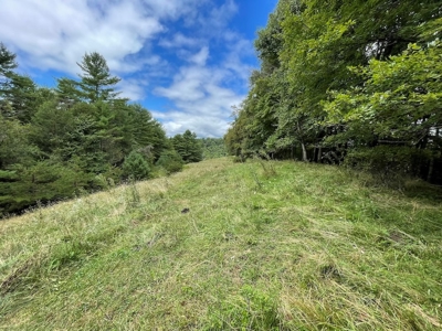 Recreational Property for Sale in Carroll County VA! - image 26
