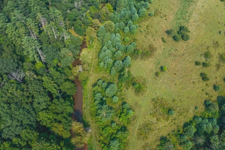 Recreational Property for Sale in Carroll County VA! - image 18