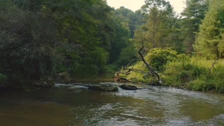 Recreational Property for Sale in Carroll County VA! - image 6