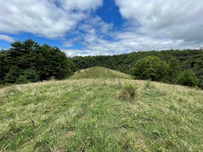 Recreational Property for Sale in Carroll County VA! - image 25