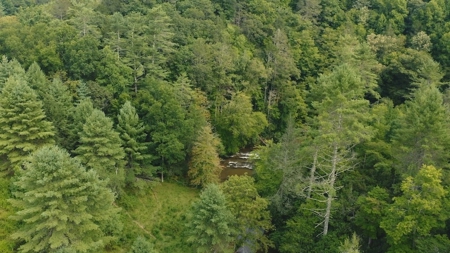 Recreational Property for Sale in Carroll County VA! - image 8