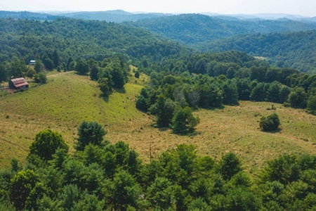Land for Sale with Country Views in Carroll County VA! - image 2