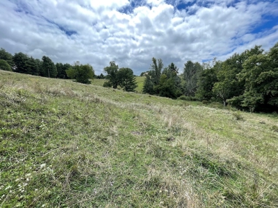 Land for Sale with Country Views in Carroll County VA! - image 10