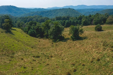Land for Sale with Country Views in Carroll County VA! - image 7