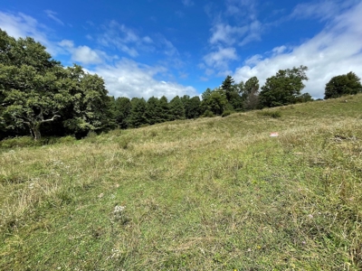 Land for Sale with Country Views in Carroll County VA! - image 13