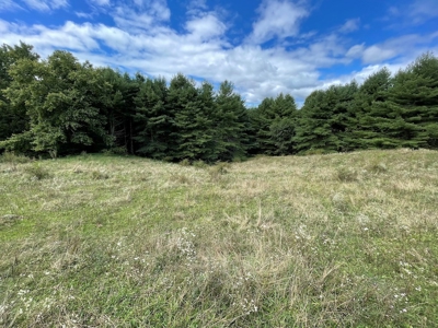 Land for Sale with Country Views in Carroll County VA! - image 11