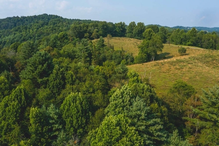 Land for Sale with Country Views in Carroll County VA! - image 9