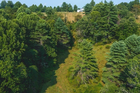 Land for Sale with Country Views in Carroll County VA! - image 8