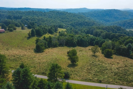Land for Sale with Country Views in Carroll County VA! - image 3