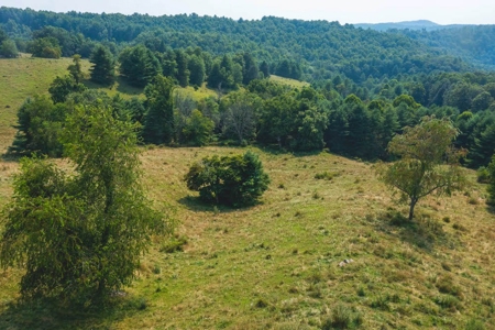 Land for Sale with Country Views in Carroll County VA! - image 4