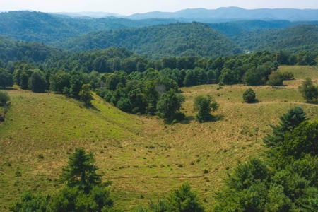 Land for Sale with Country Views in Carroll County VA! - image 1